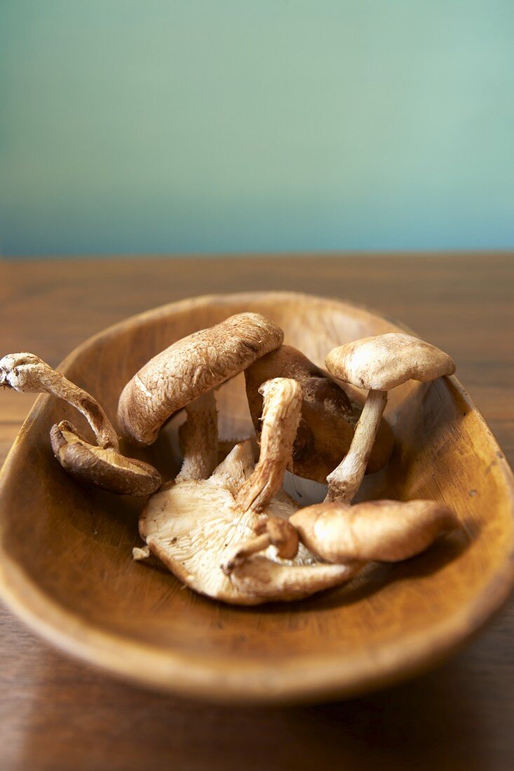 Organic Mushrooms on a Wooden Dish