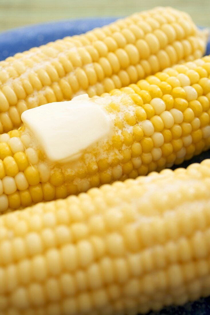 Butter Melting on Corn on the Cob