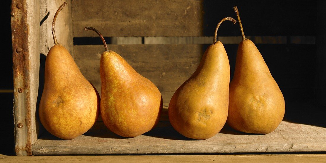 Four Bartlett Pears in a Wooden Crate