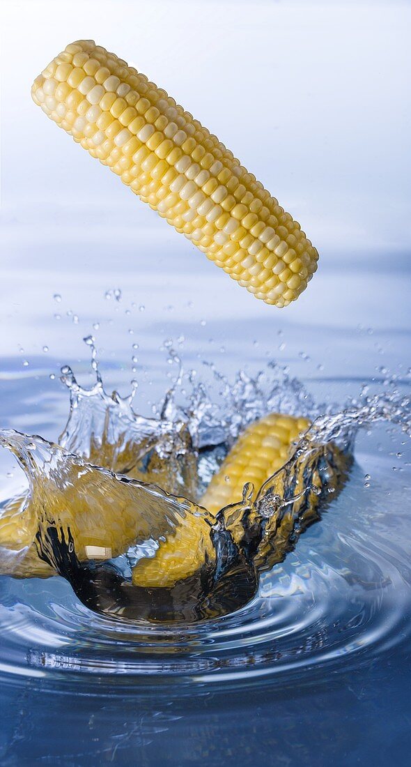 Corn cobs falling into water