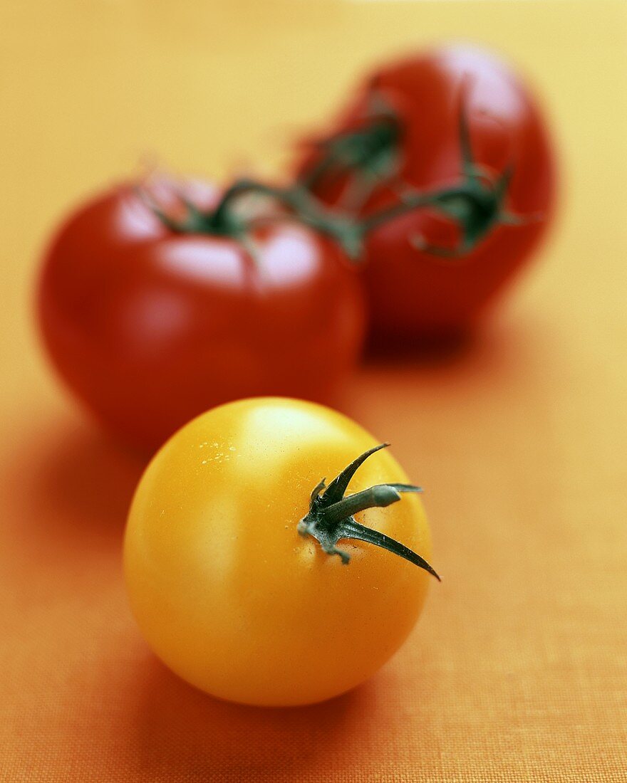 Eine gelbe und zwei rote Tomaten