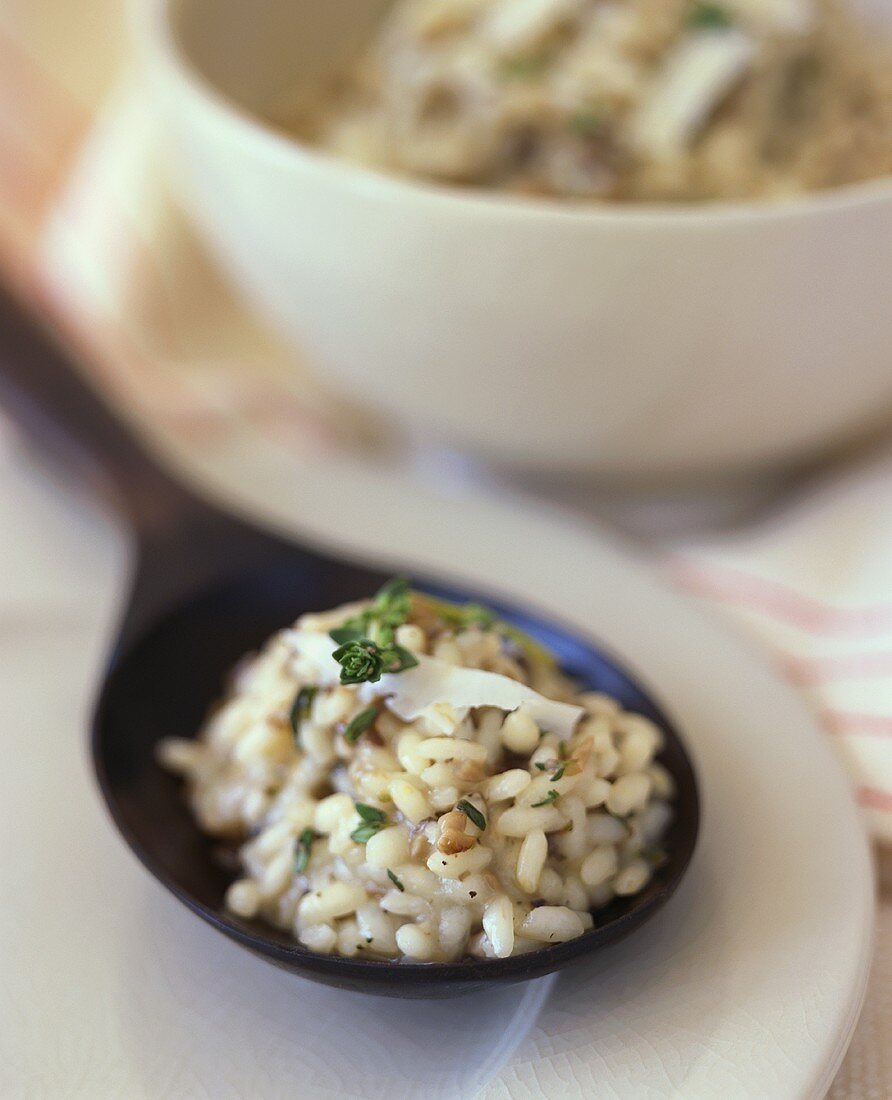 Risotto auf Löffel