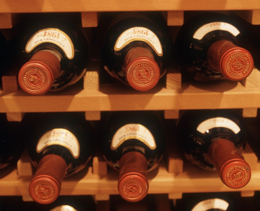 Red wine bottles in wine rack
