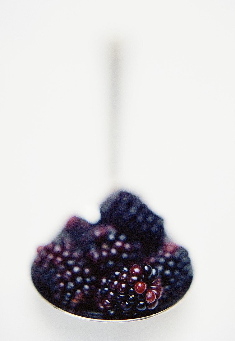 Fresh blackberries in spoon