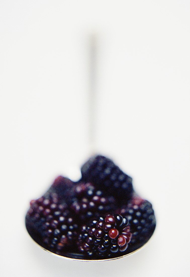 Frische Brombeeren auf Löffel