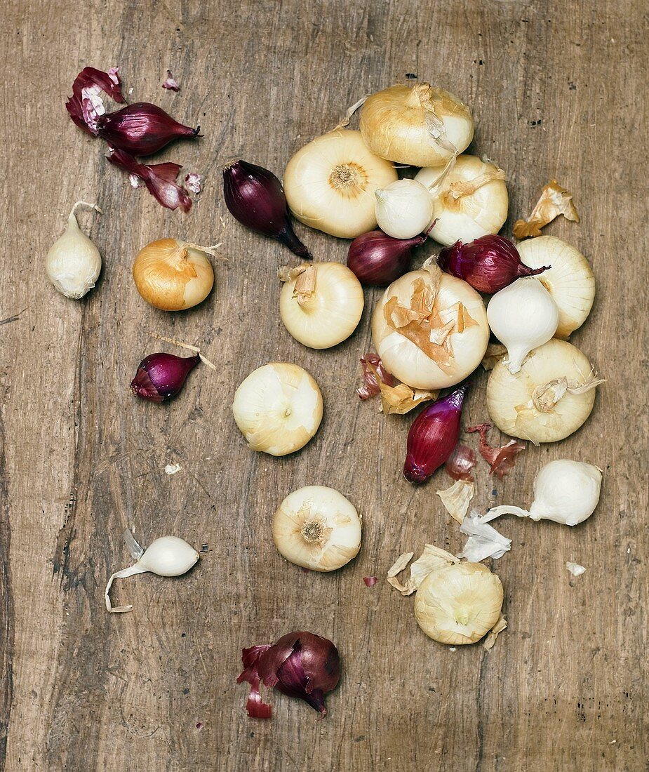 Verschiedene Zwiebelsorten auf Holzuntergrund