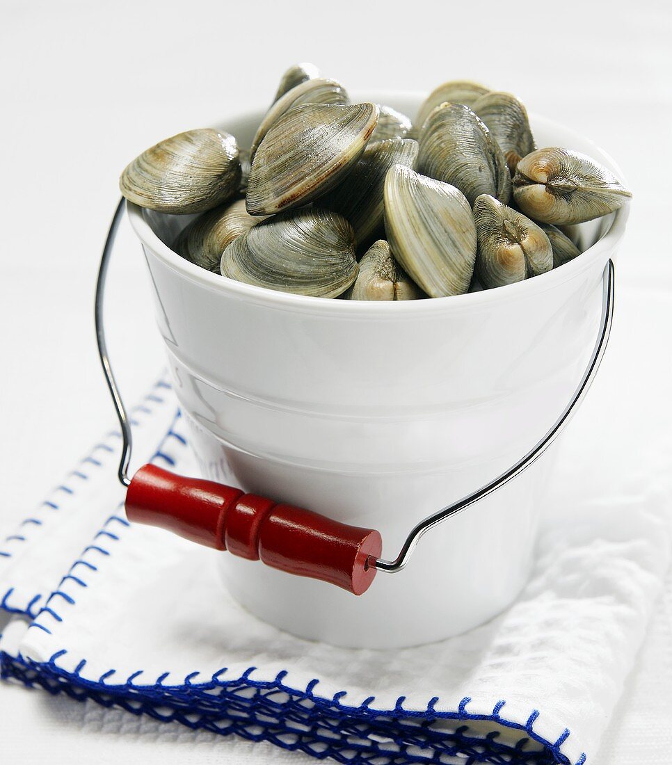 Rohe Clams in weißem Eimer