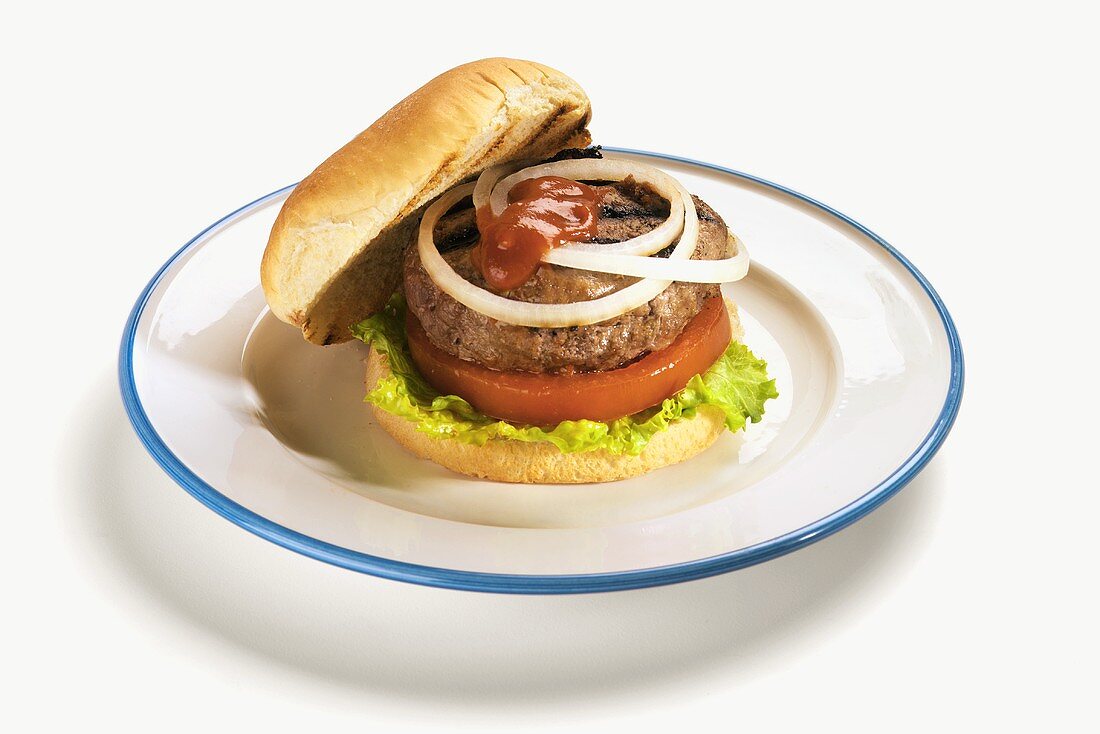 A Grilled Hamburger with Ketchup, Onions, Tomato and Lettuce