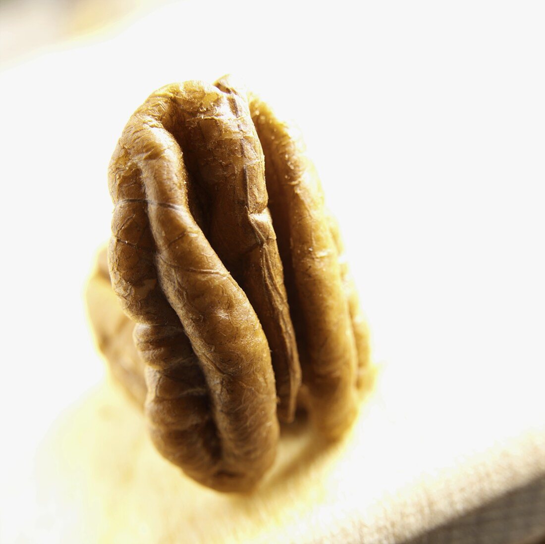 Shelled pecan nut (close-up)