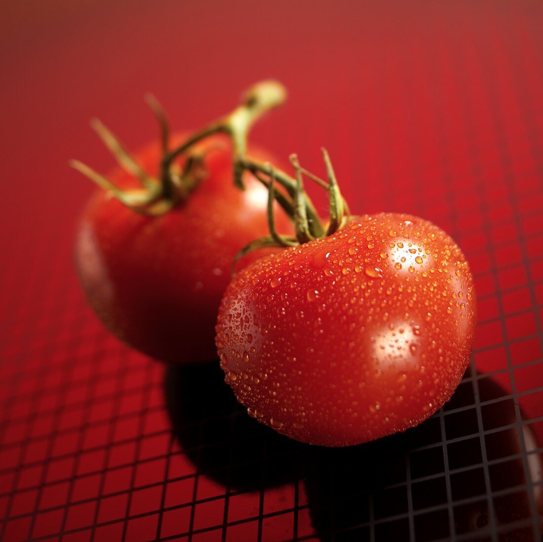 Zwei reife Tomaten mit Wassertropfen auf rotem Untergrund