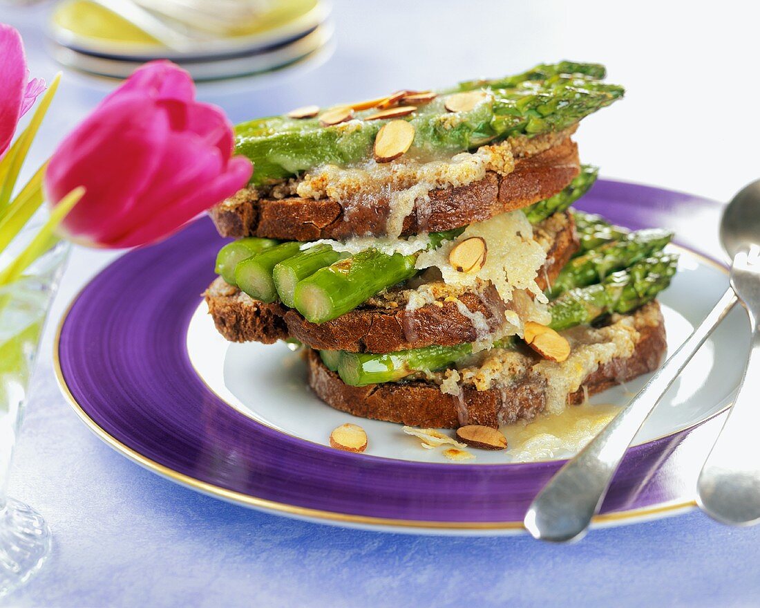 An Open Faced Cheddar Melt with Asparagus and Almonds