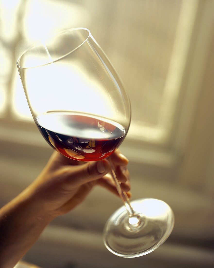 A Hand Holding a Glass of Red Wine