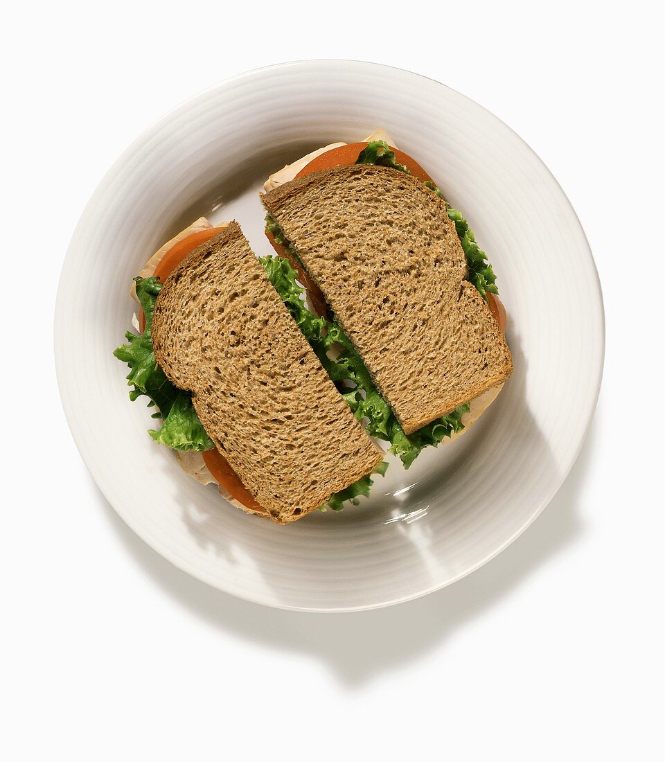 A Turkey Sandwich on Whole Wheat Bread