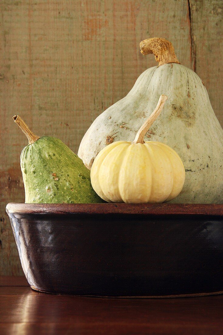 Three Gourds in a Large, Shallow Ceramic Bowl