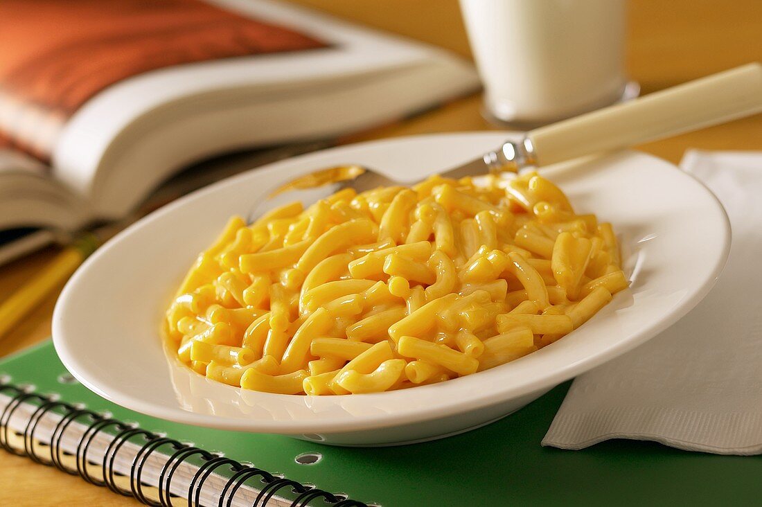 A Bowl of Macaroni and Cheese