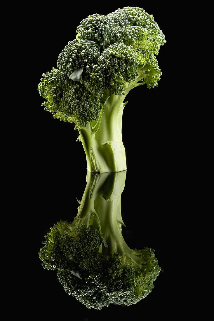 Broccoli on Black with Reflection