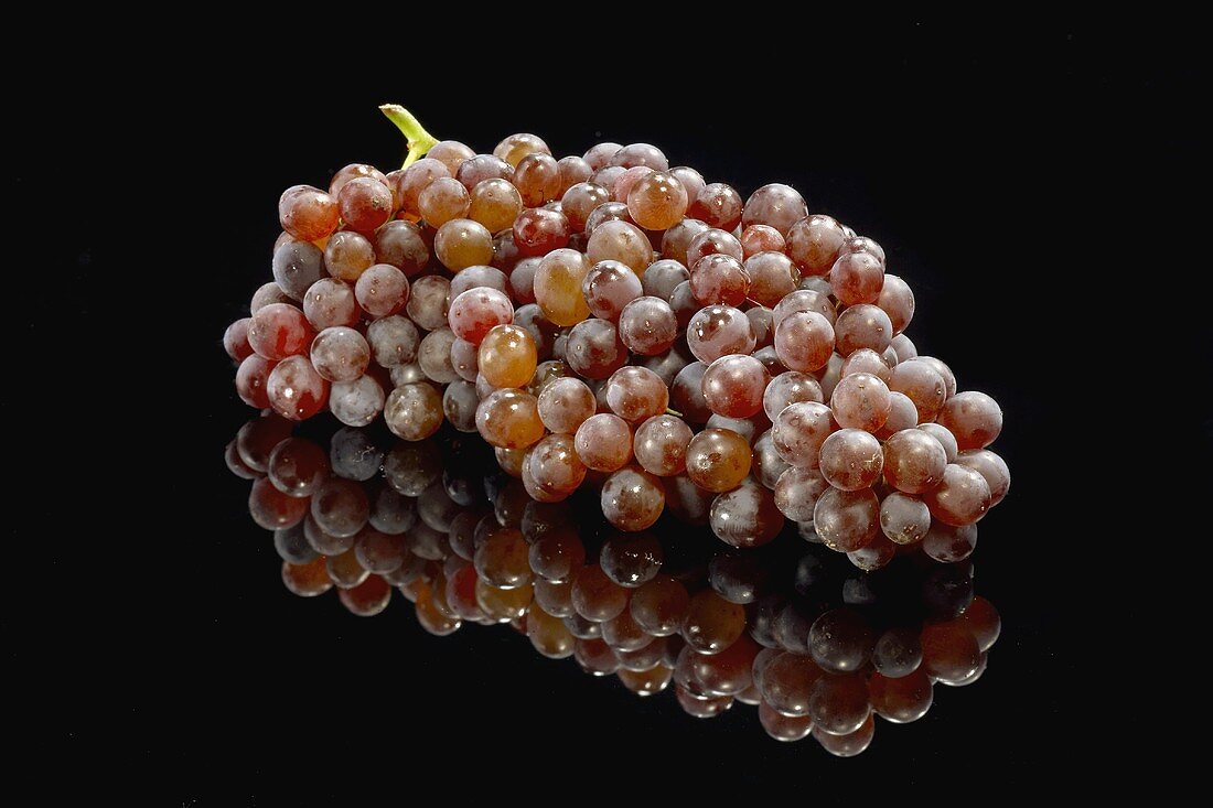 A Bunch of Champagne Grapes