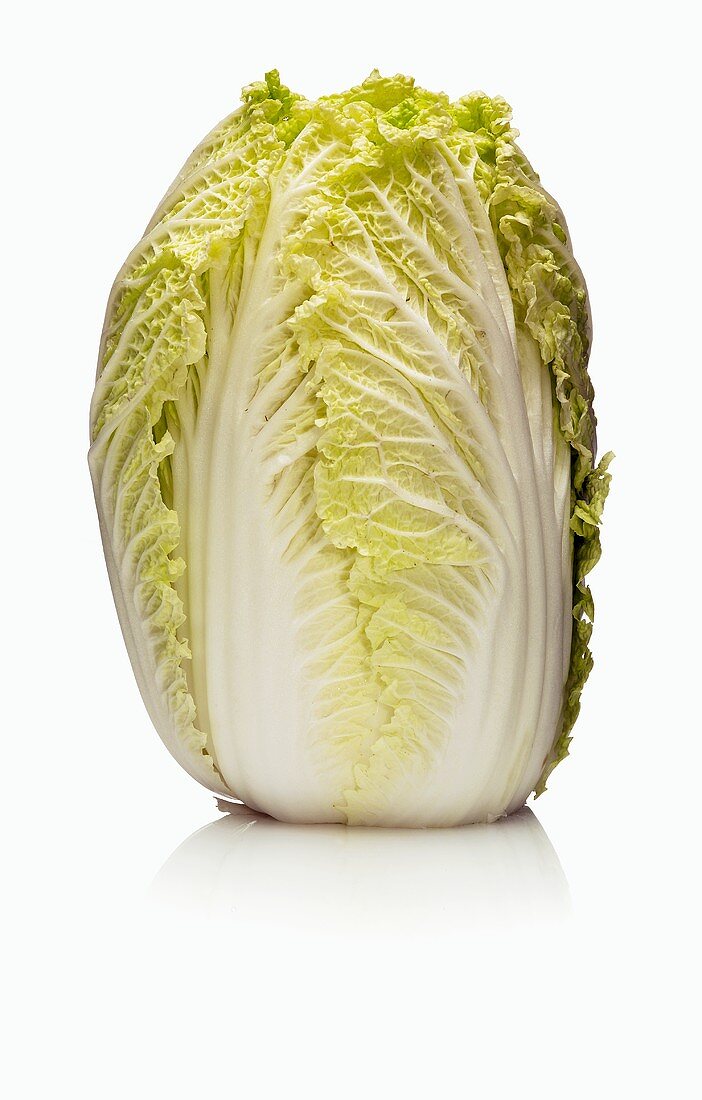 A Head of French Endive