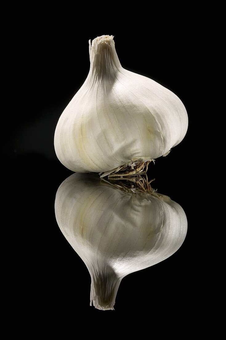 A Bulb of Garlic on Black with Reflection