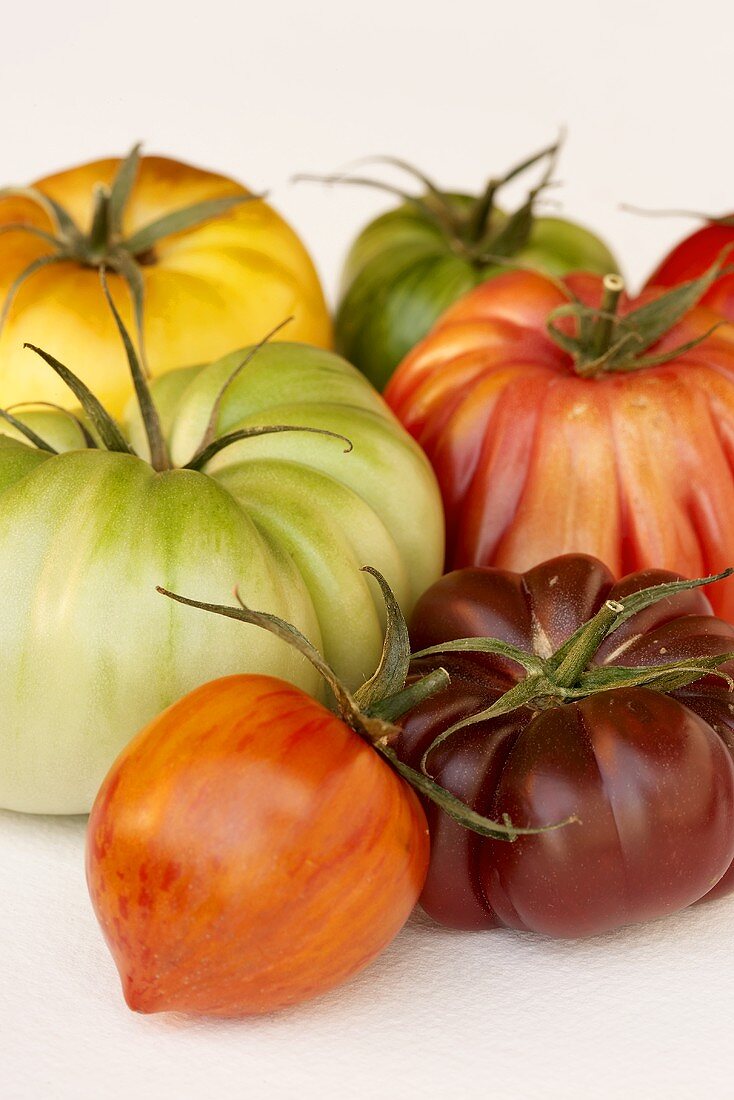 Verschiedene Heirloom Tomaten