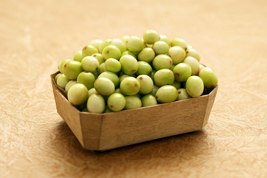 A Basket of White Cranberries