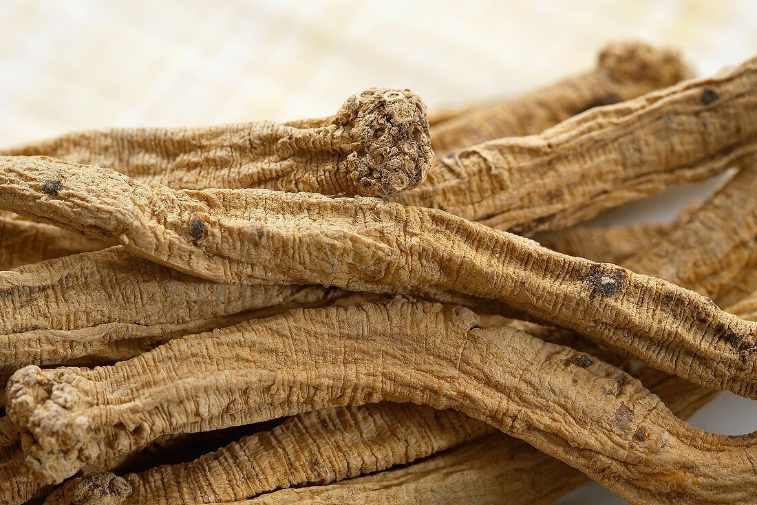 Dang Shen (Chinese Herb) Close Up