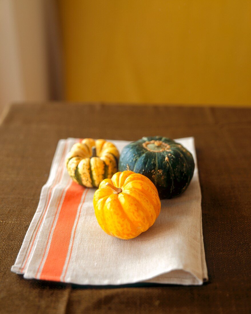 Gourds on a Dish Towel