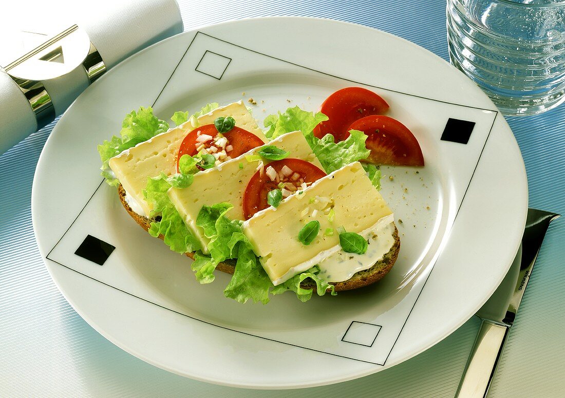 Open Cheese Sandwich with Tomatoes & Onions