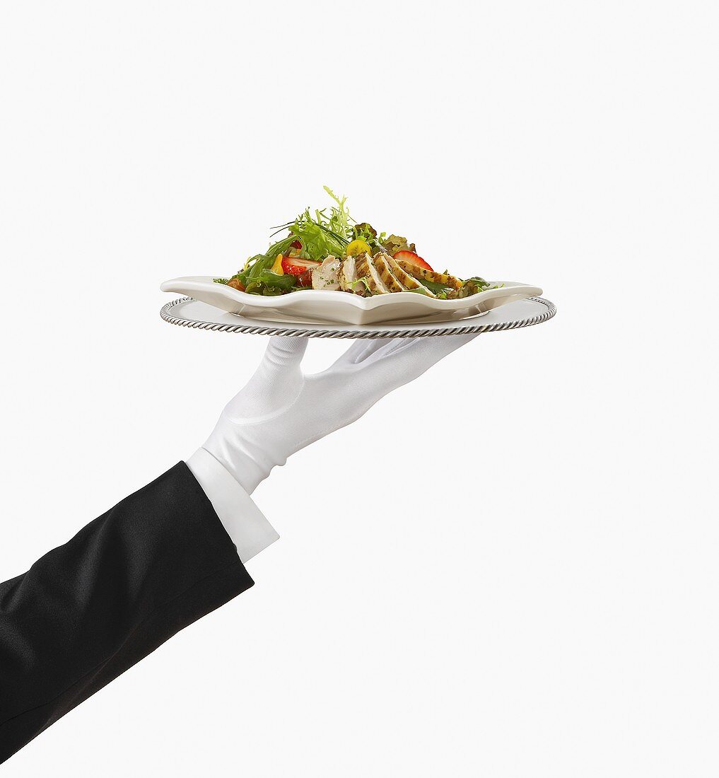Hand mit weißem Handschuh hält Tablett mit Hähnchensalat