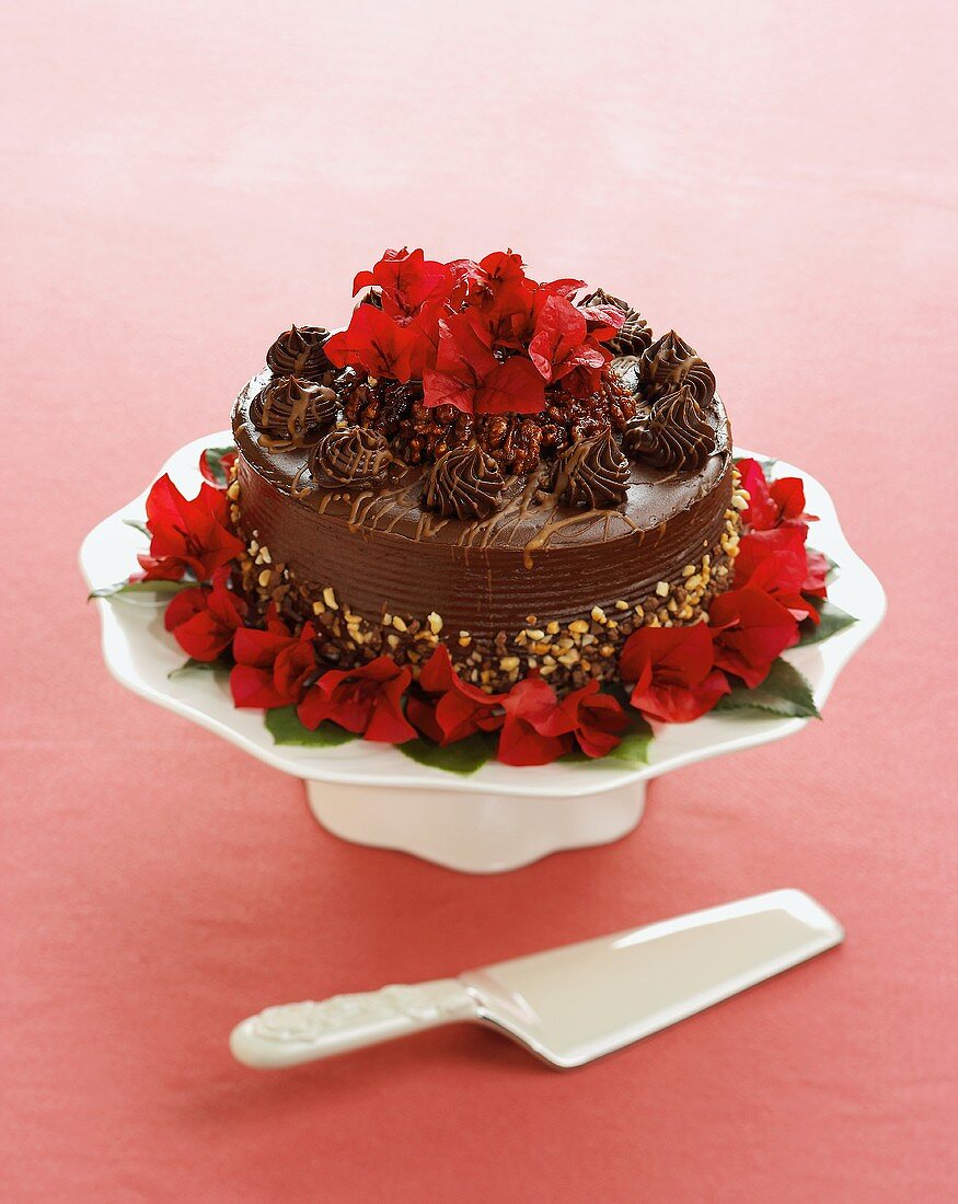 Festliche Schokoladen-Nuss-Torte mit roter Blumendeko