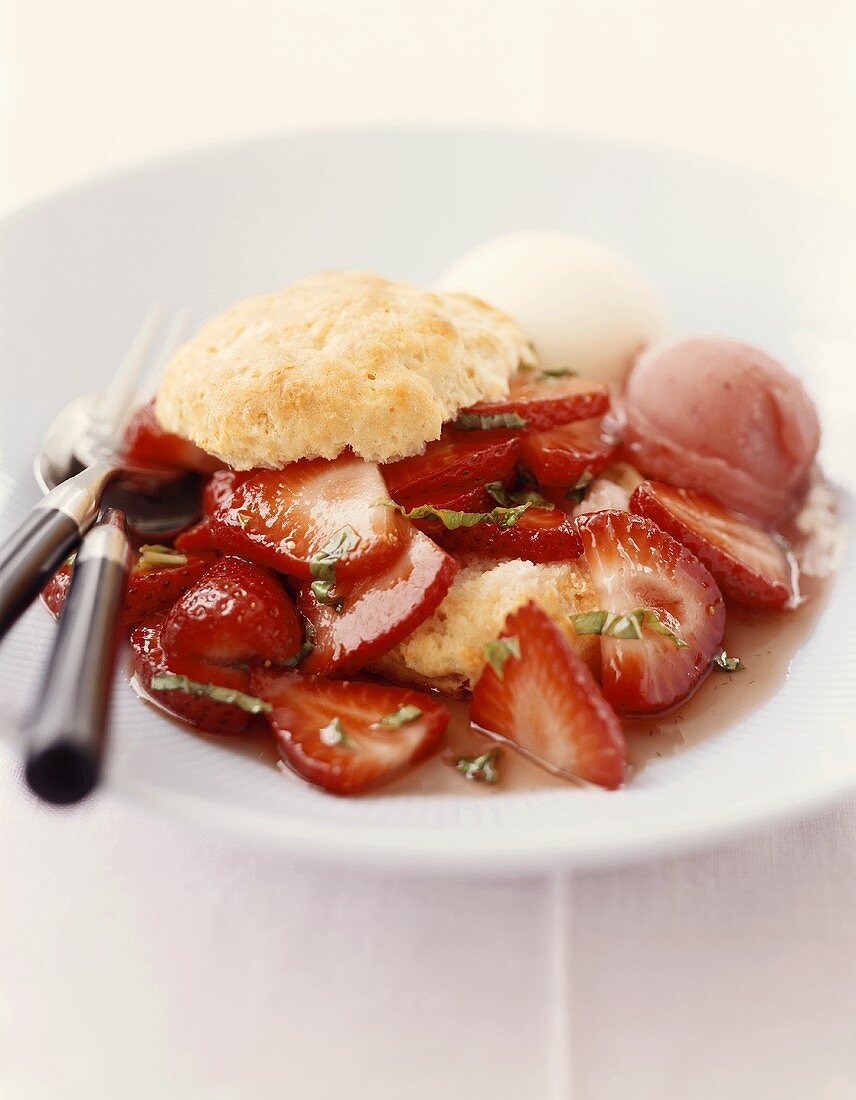 Strawberry Shortcake mit Eis und Basilikumstreifen