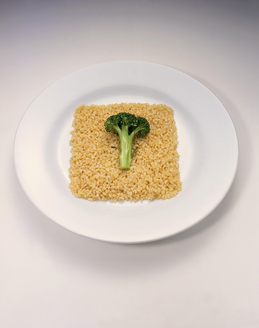 Brown Rice with a Broccoli Floret on a Plate