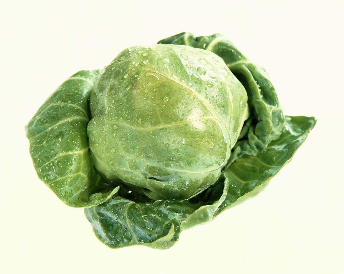 A Brussels Sprout, Close Up