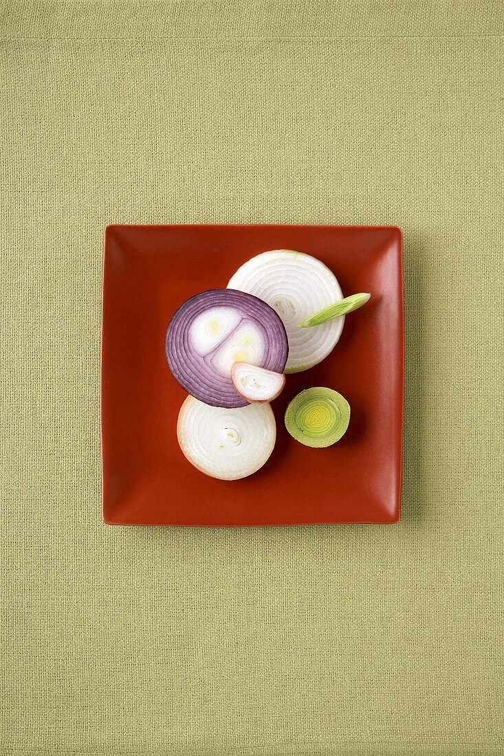 Assorted Onion Slices (Red Onion, Yellow Onion, Leek, Scallion and Shallot)