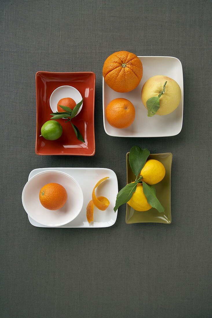 Assorted Citrus Fruits on a Variety of Plates