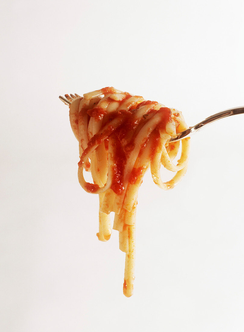 Spaghetti with Tomato Sauce Wrapped Around a Fork; White Background
