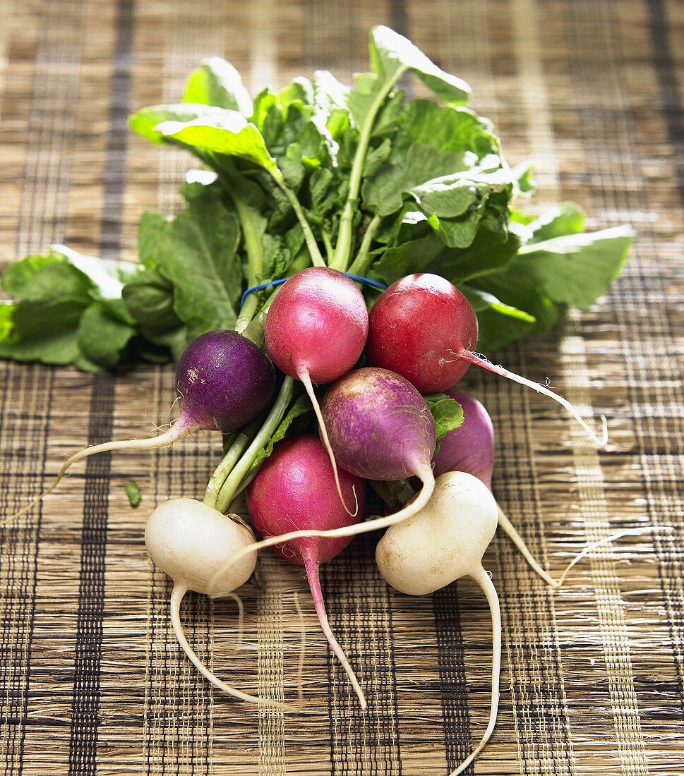 Colorful Bunch of Red, Purple and White Radishes