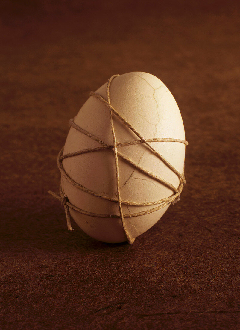 Single Egg Wrapped in Twine