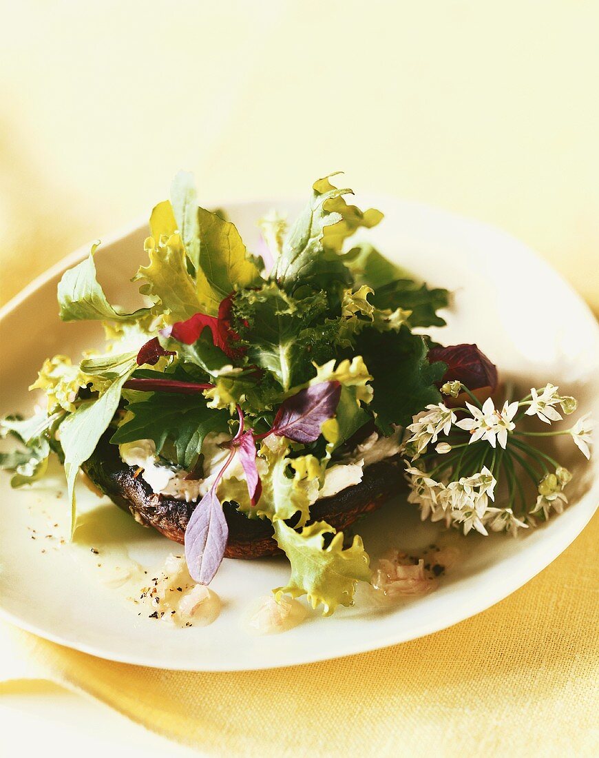 Portobello-Pilz mit Ziegenkäse und Salatblättern