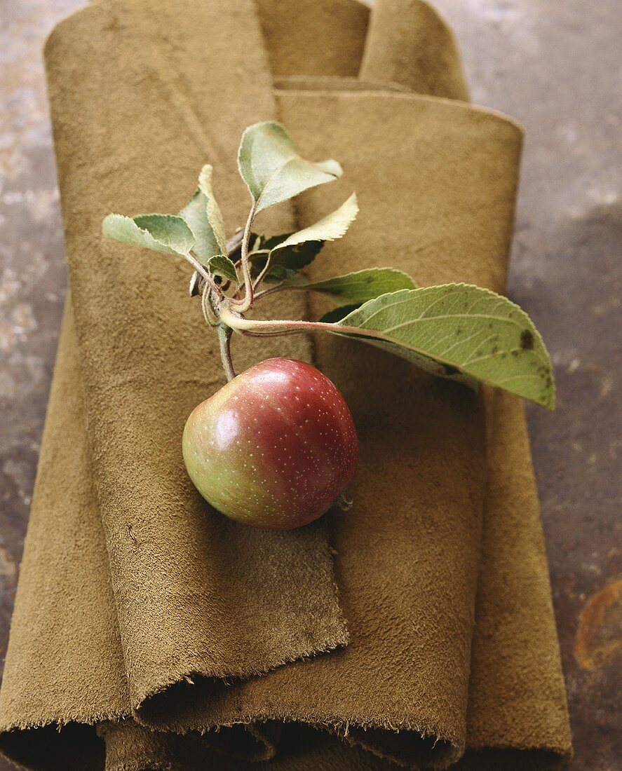 A Freshly Picked Apple with Stem and Leaves
