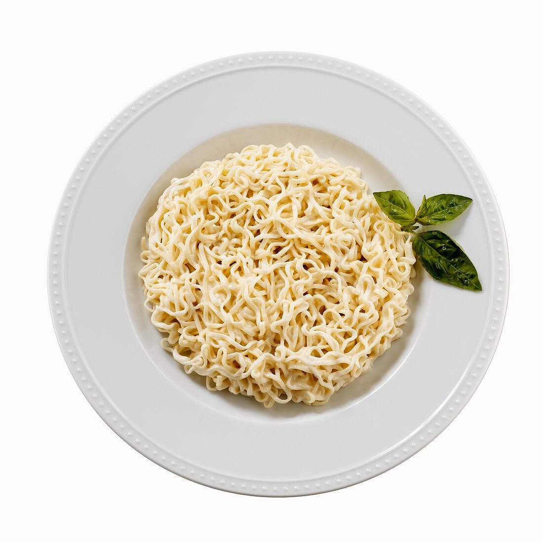 Noodles with Alfredo sauce