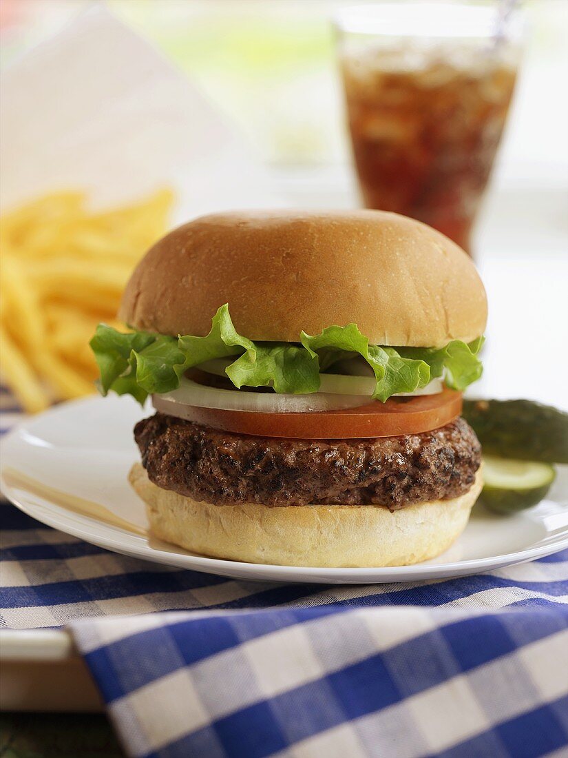 Hamburger with Lettuce, Tomato and Onion; French Fries and Soda
