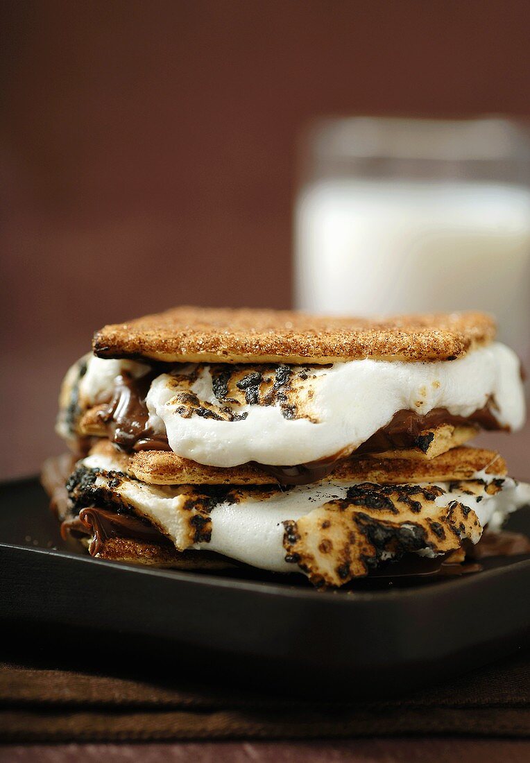 S'mores on a Plate with a Glass of Milk