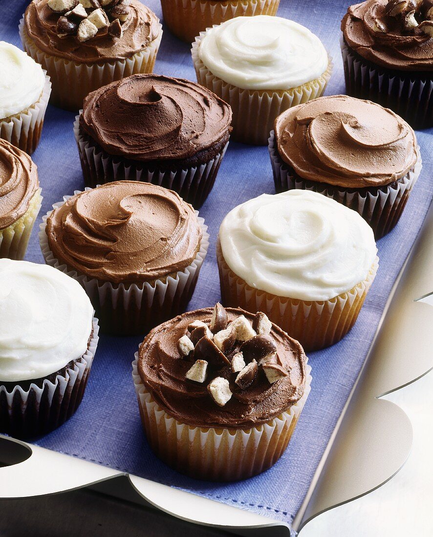 Assorted chocolate and vanilla cup-cakes
