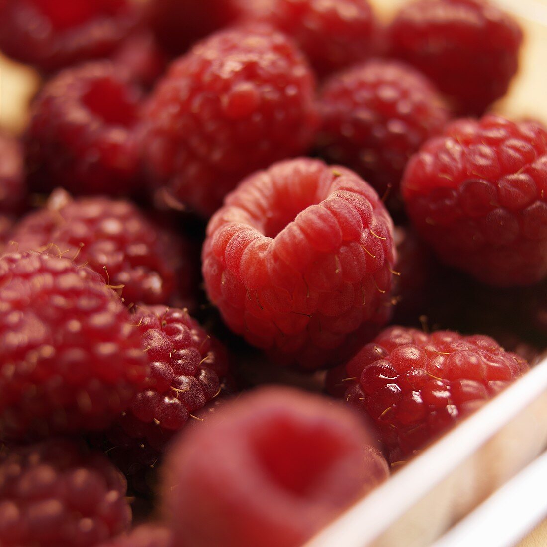 Frische Himbeeren (Nahaufnahme)