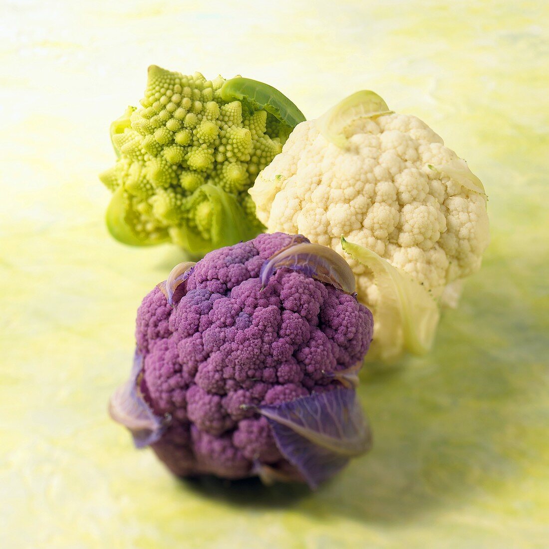 Purple and White Cauliflowers and Romanesco Cauliflower