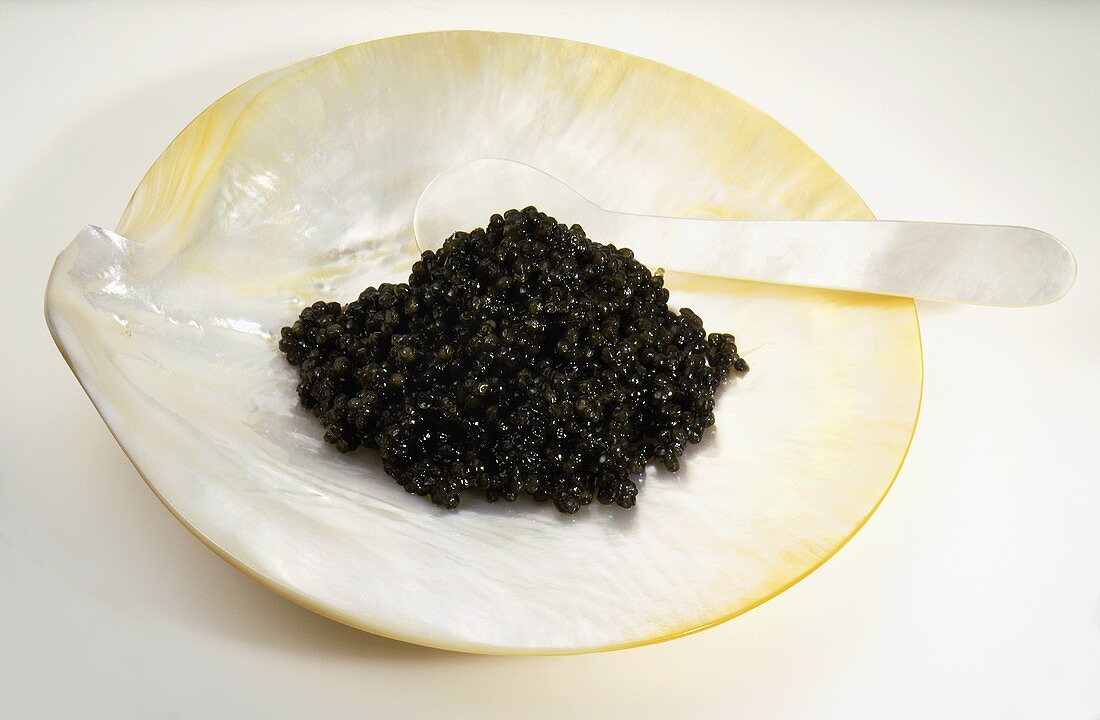 Kaviar in Perlmuttschälchen mit Permuttlöffel