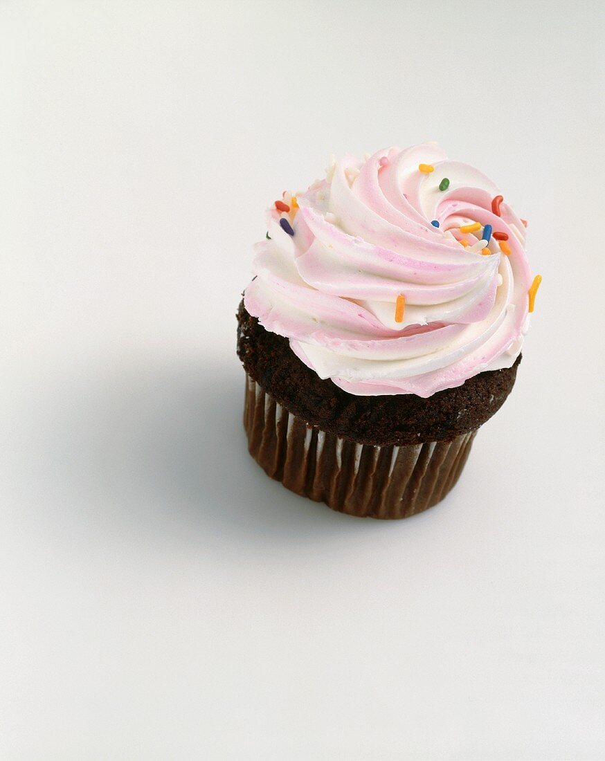 Chocolate Cupcake with Chocolate Frosting and Chocolate Squares