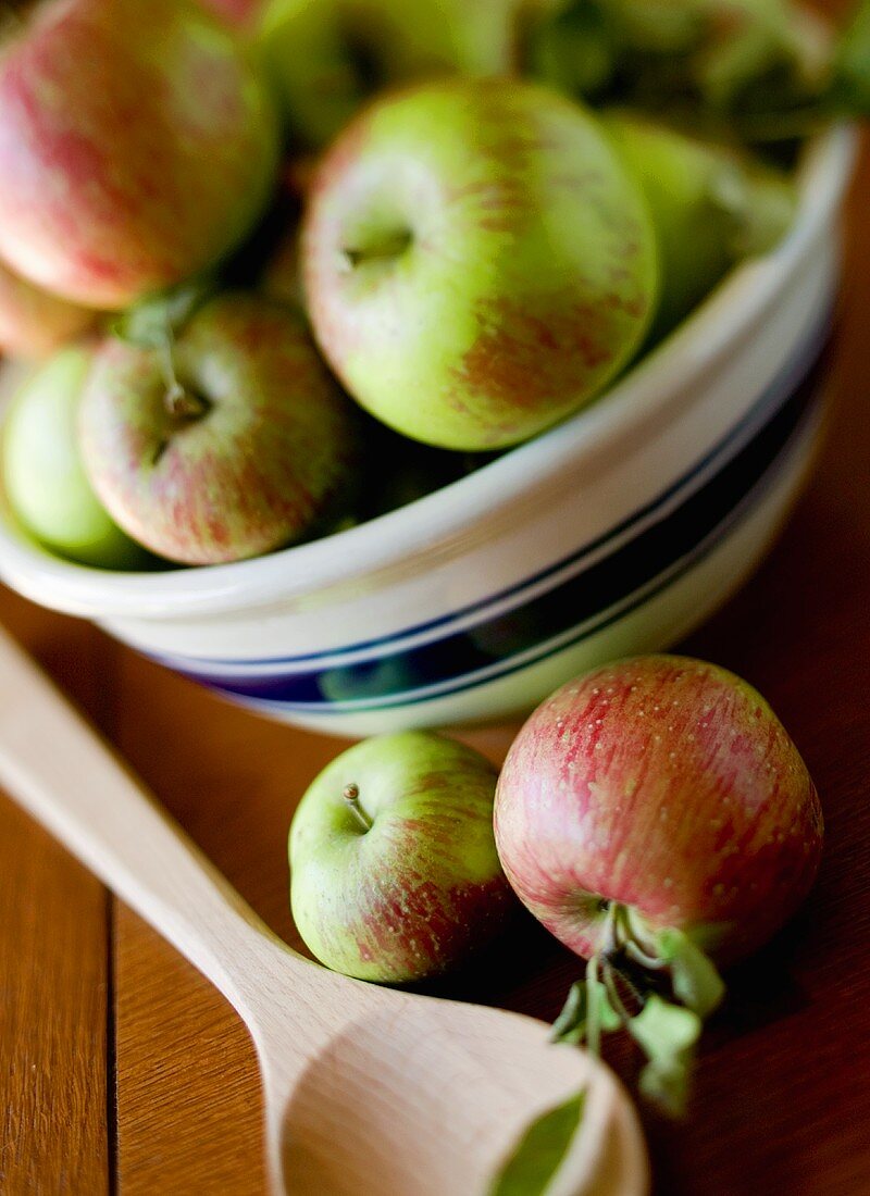 McIntosh Äpfel in Schüssel, daneben Äpfel und Kochlöffel