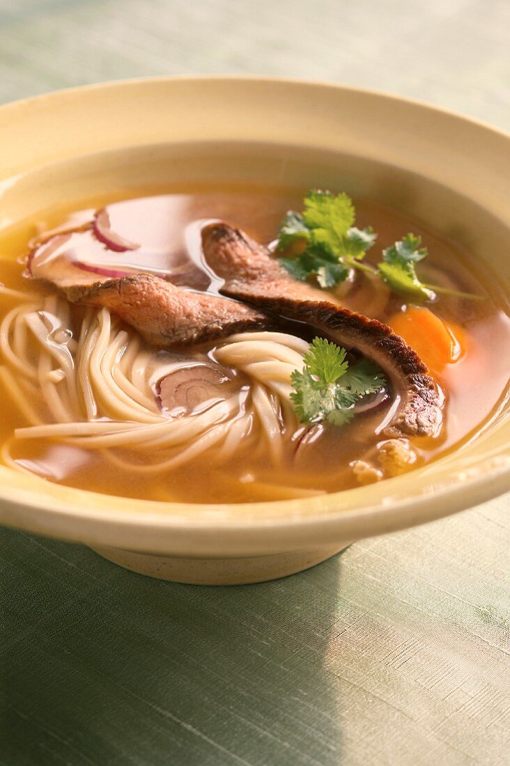 Beef noodle soup (Asia)